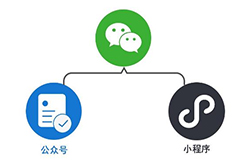 有了公众号，企业还需要投资微信小程序开发吗